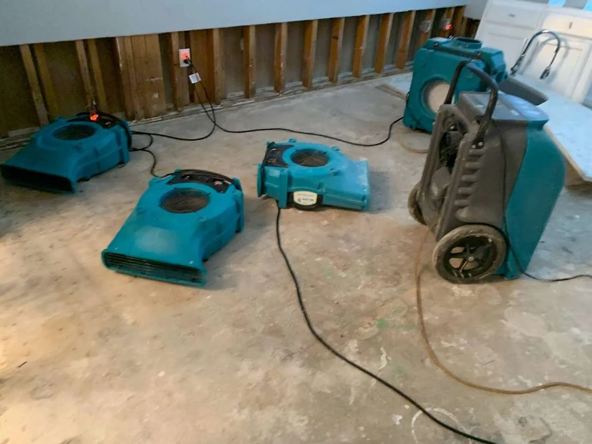 Mold Inspection & Testing in Kerman, CA